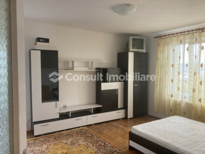 Apartament 1 camera | Gruia